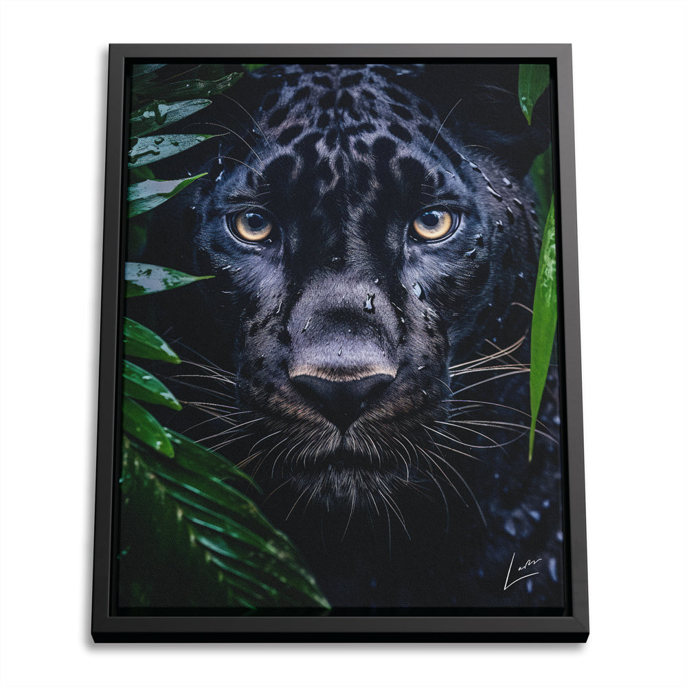Peeping Panther