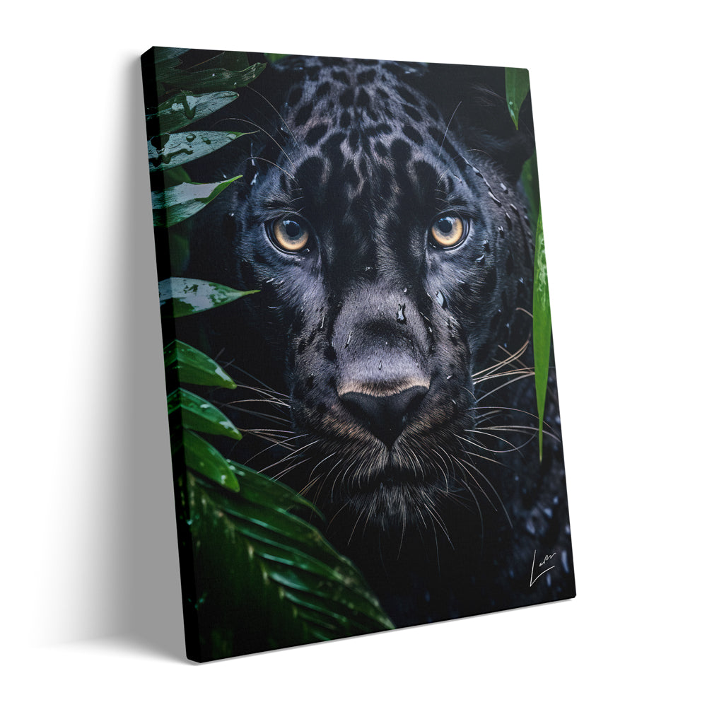 Peeping Panther