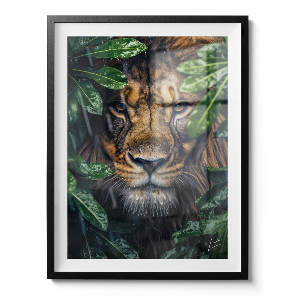 Peeping Lion