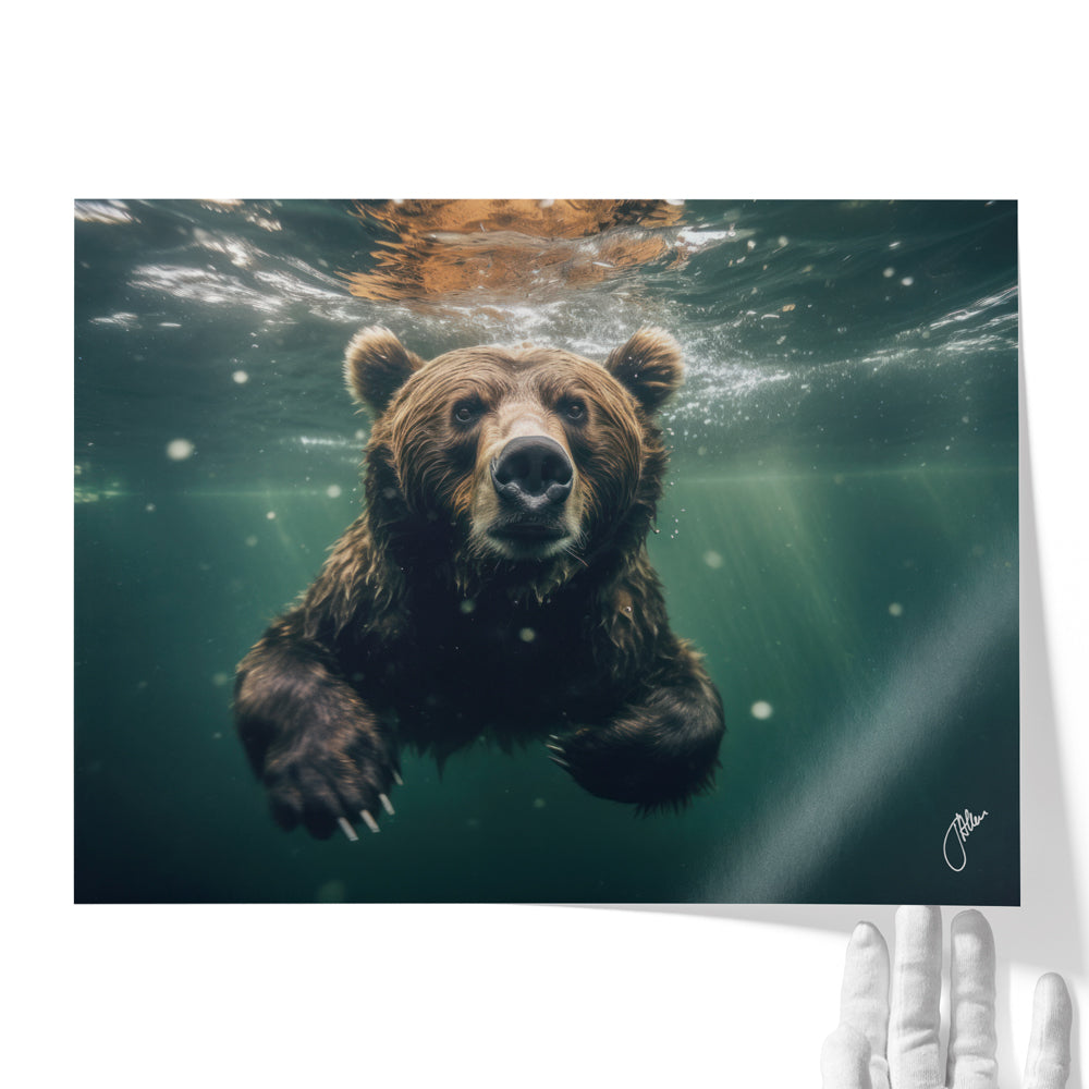 Underwater Bear