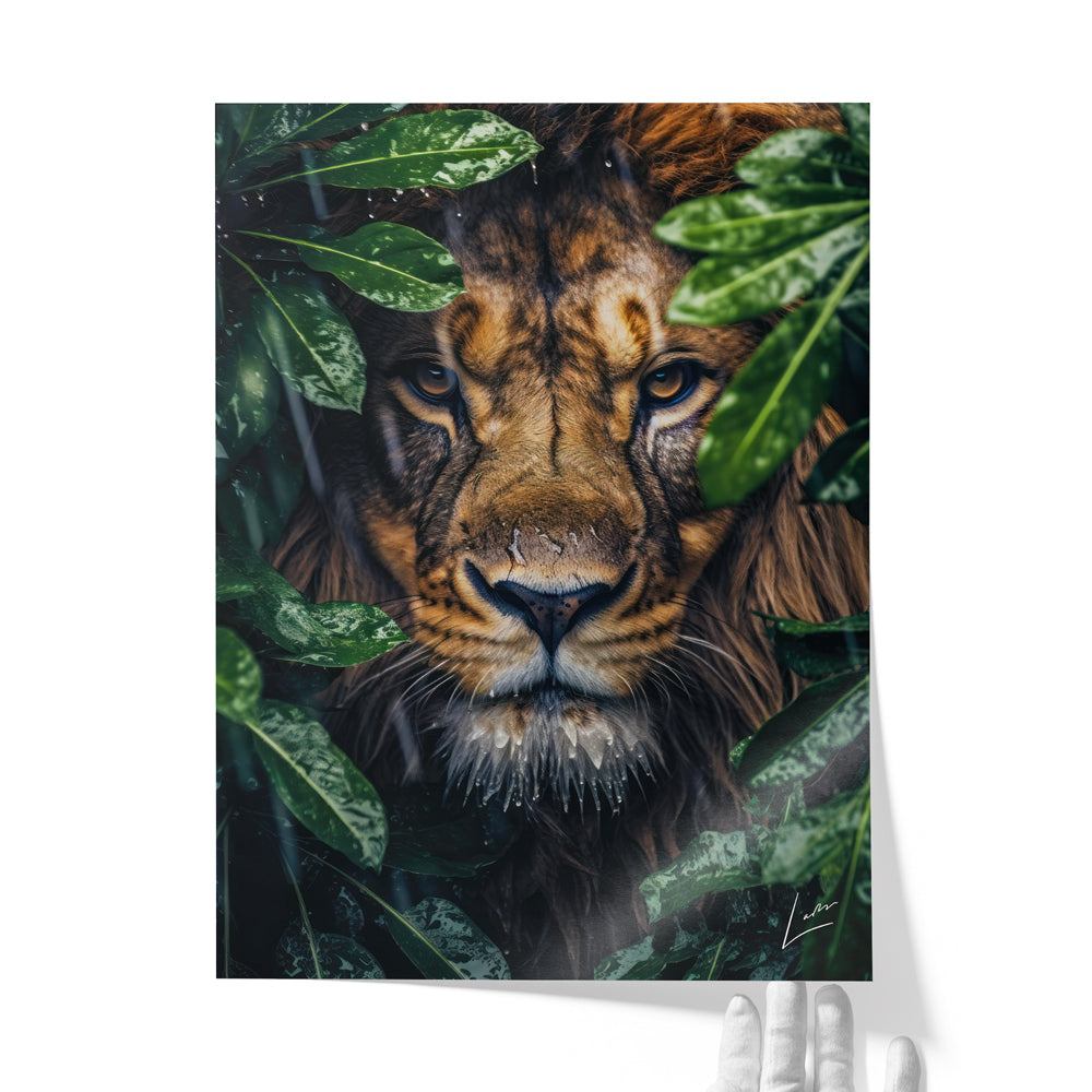 Peeping Lion