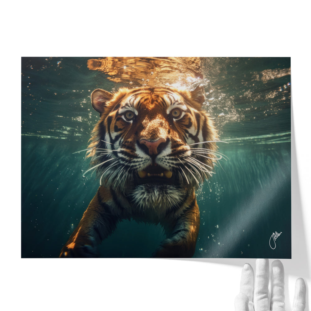 Underwater Tiger