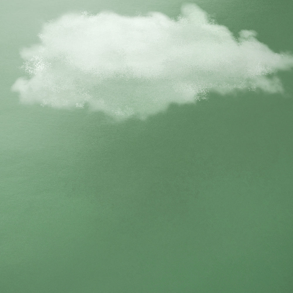 Cielo Sage