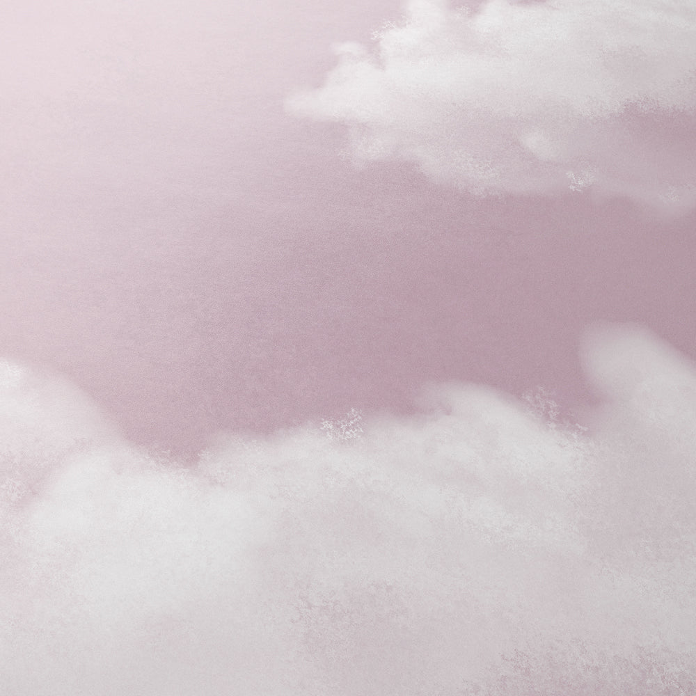 Himmel Rose